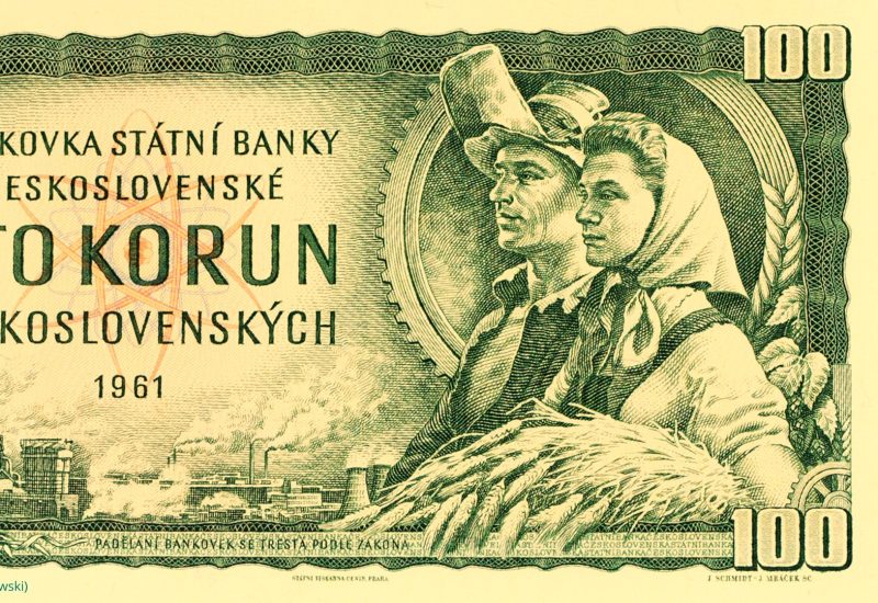 Stokoruna foto: canva/janusz pienkowski