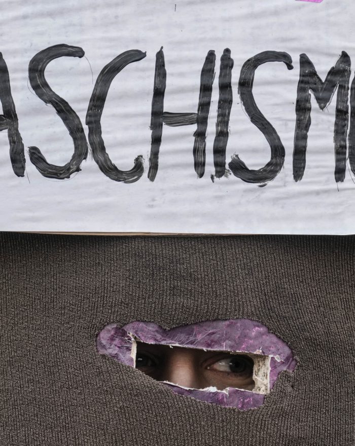 Germany far right protest