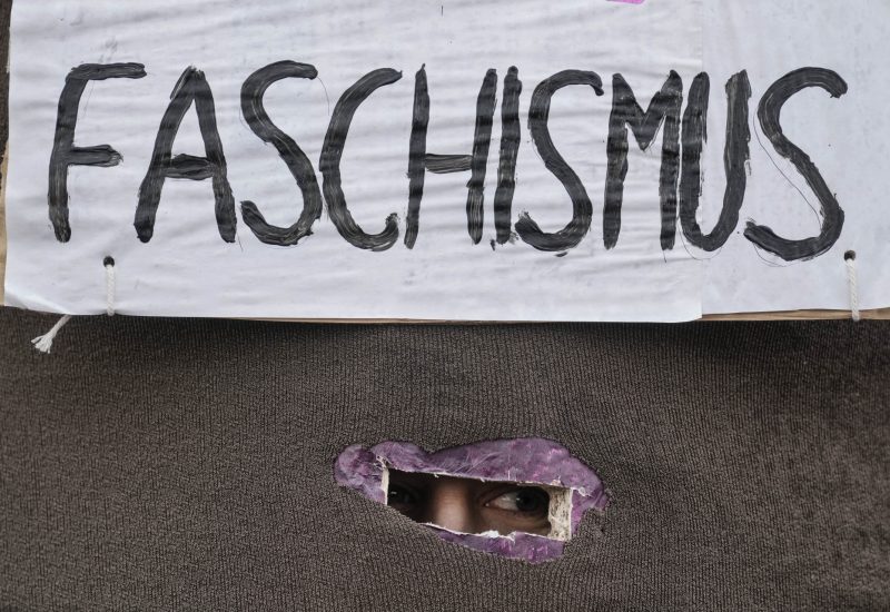 Germany far right protest