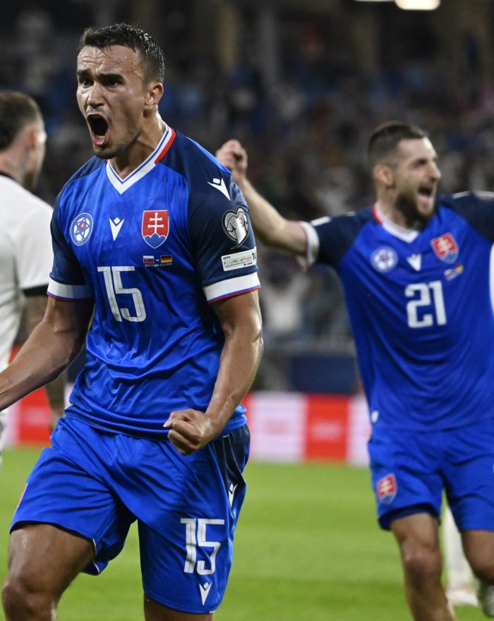 Futbal ms: slovensko nemecko