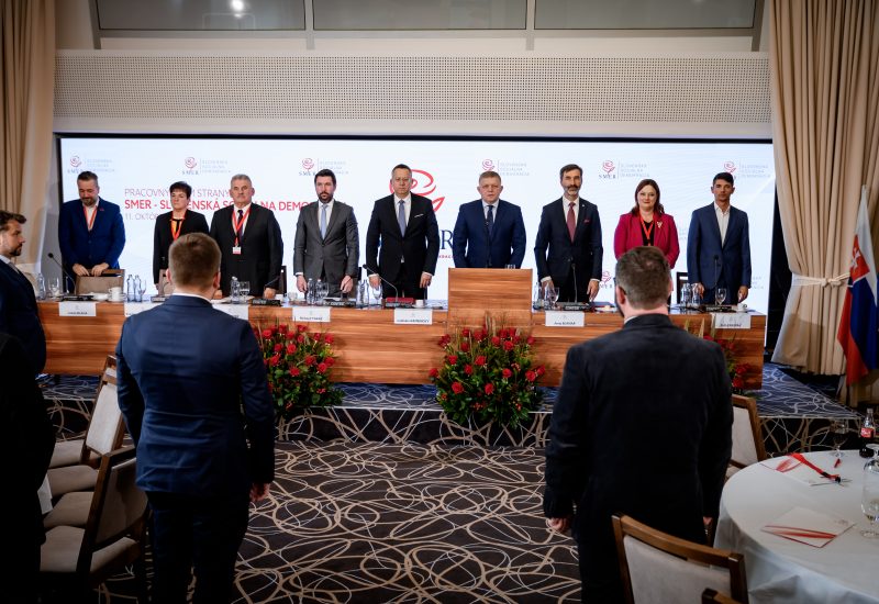 Smer ssd: snem strany