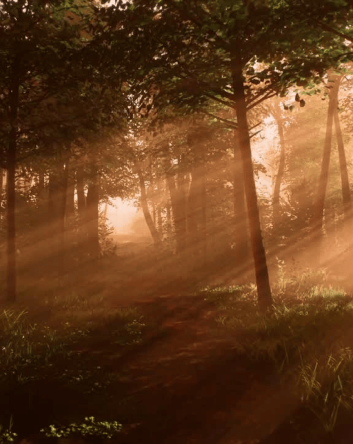 Za obzorom – Canva