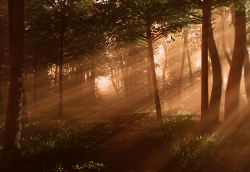 Za obzorom – Canva