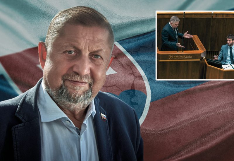 Štefana Harabina Fico je liberál ako Šimečka a ide o existenciu Slovenska